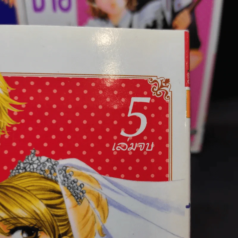 เจ้าชายสุดเลิฟ 5 เล่มจบ รูปที่ 12