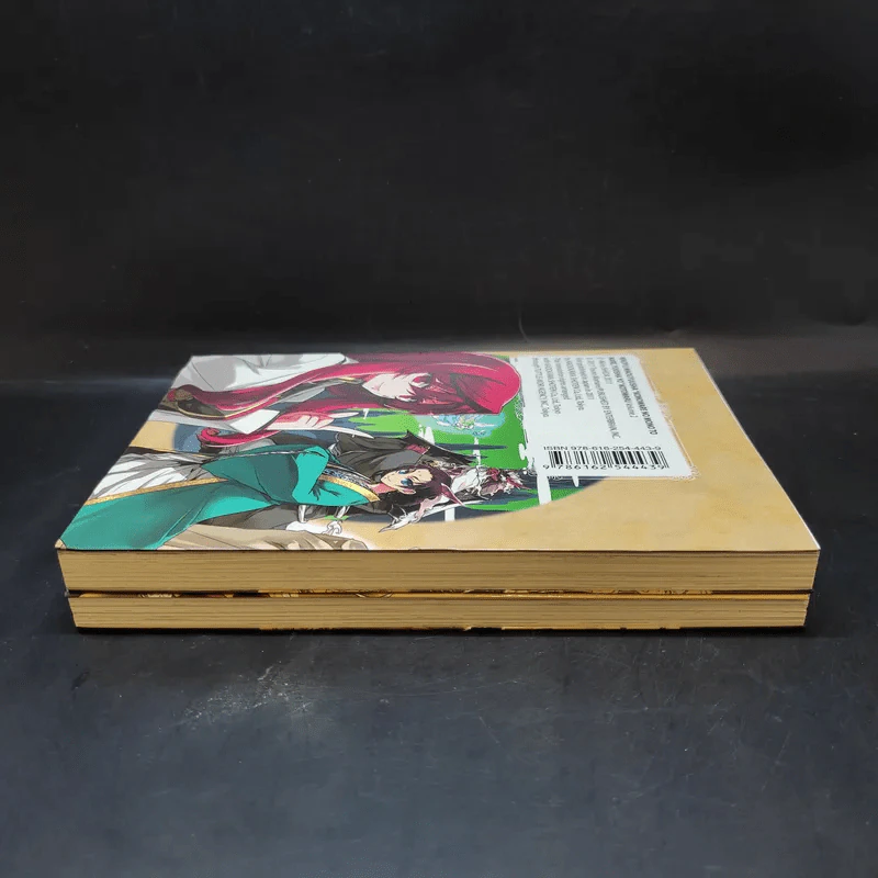 จอมมารนักเศรษฐศาสตร์กับผู้กล้าบ้าพลัง เล่ม 1-2 รูปที่ 4