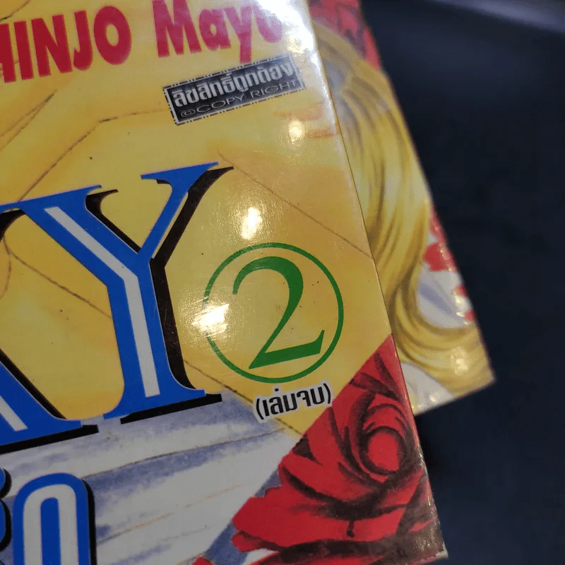 Sexy บอดี้การ์ด 2 เล่มจบ - Shinjo Mayu รูปที่ 13