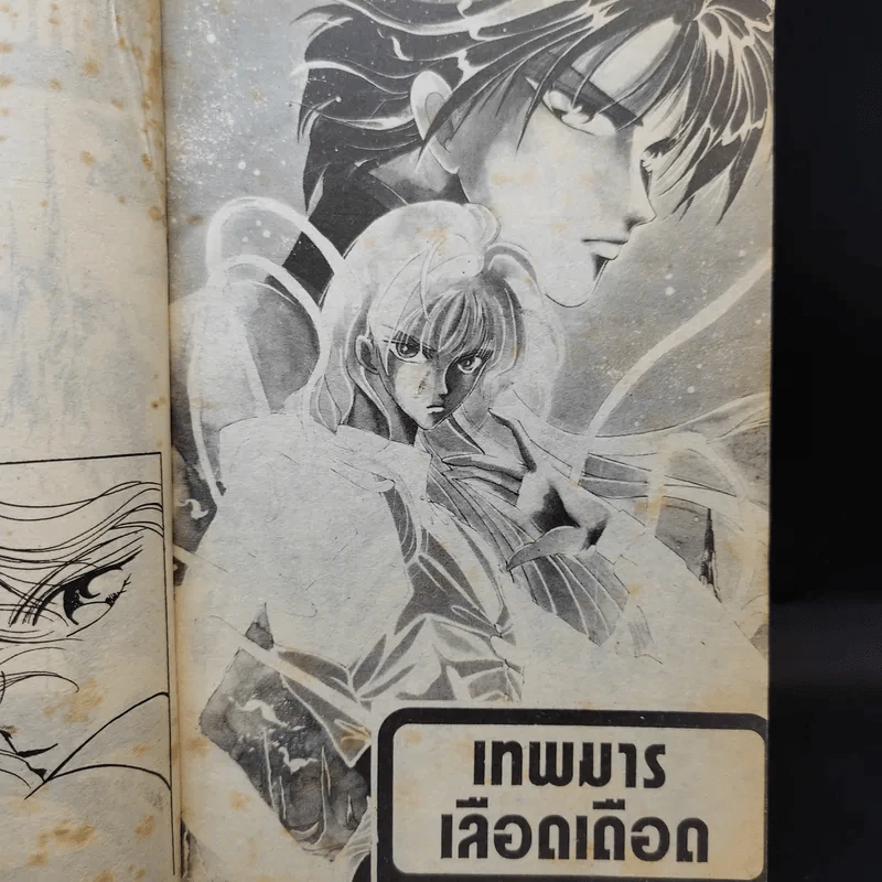 เทพมารเลือดเดือด รูปที่ 9