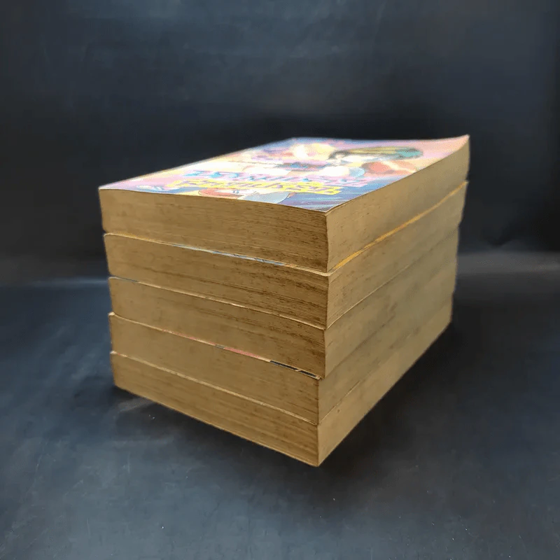 หนุ่มห้าวสาวเปรี้ยว เล่ม 11-15 รูปที่ 5