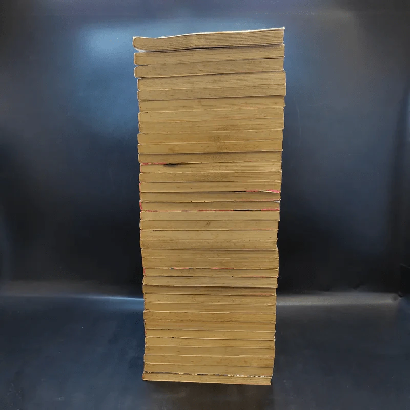 หมัดสั่งสร้างฝัน 48 เล่มจบ (ขาดเล่ม 31-43) รูปที่ 4