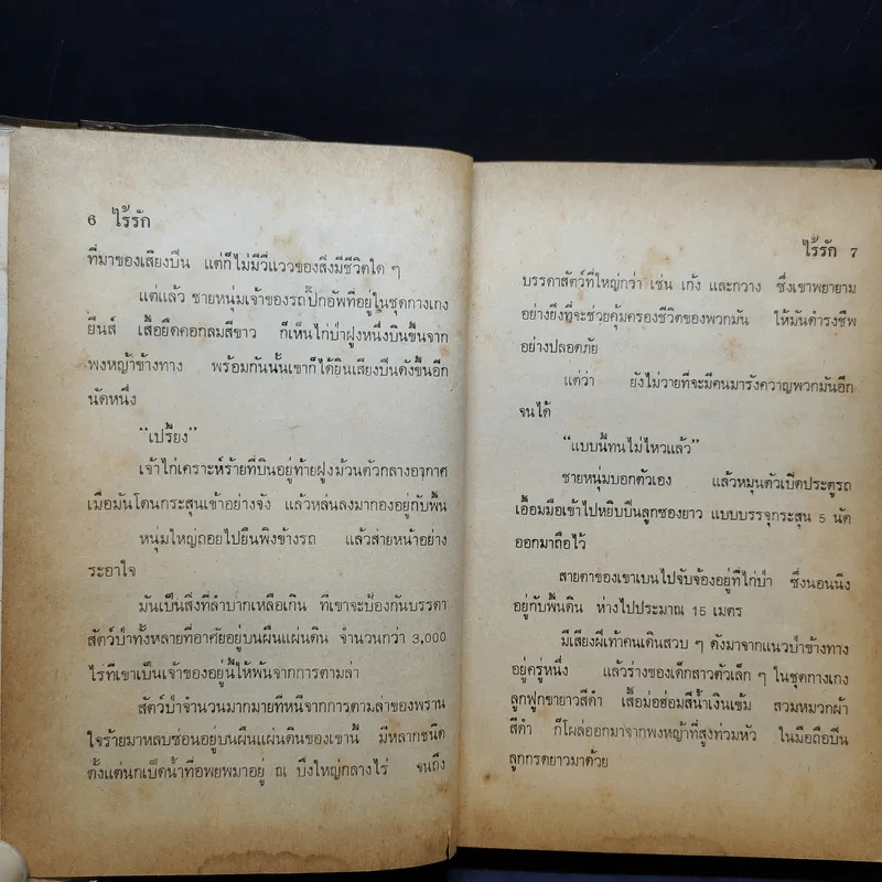 ไร้รัก - ปาริฉัตร รูปที่ 8