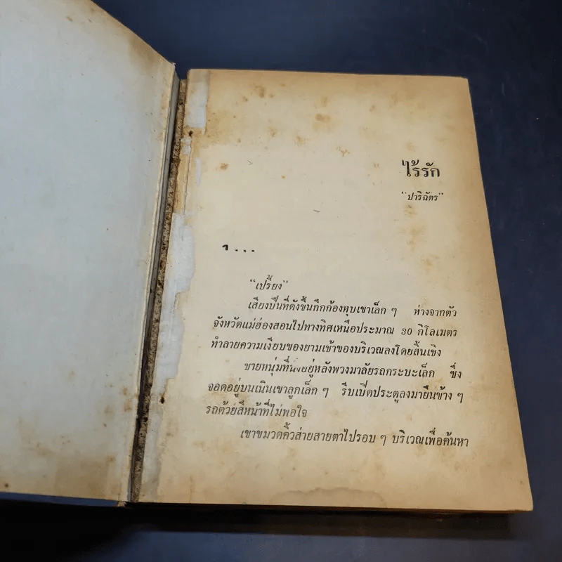 ไร้รัก - ปาริฉัตร รูปที่ 7