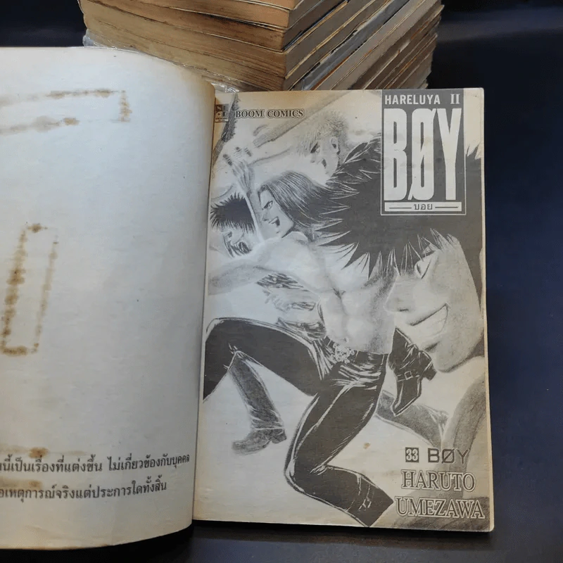 Boy Hareluya II เล่ม 1,7-10,14,18-33 รูปที่ 8