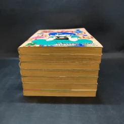 รันม่า 1/2 ไอ้หนุ่มกังฟู เล่ม 1-4,6-8 รูปที่ 3