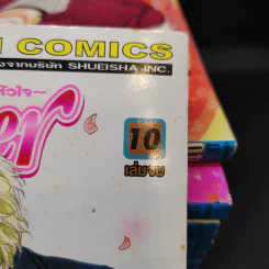 Flower ดอกไม้ในหัวใจ 10 เล่มจบ รูปที่ 7