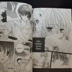 มิโดริจังกับเจ้าชายทั้งสิบเอ็ด 10 เล่มจบ รูปที่ 10