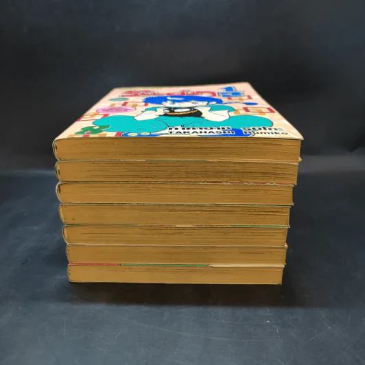 รันม่า 1/2 ไอ้หนุ่มกังฟู เล่ม 1-4,6-8 รูปที่ 3
