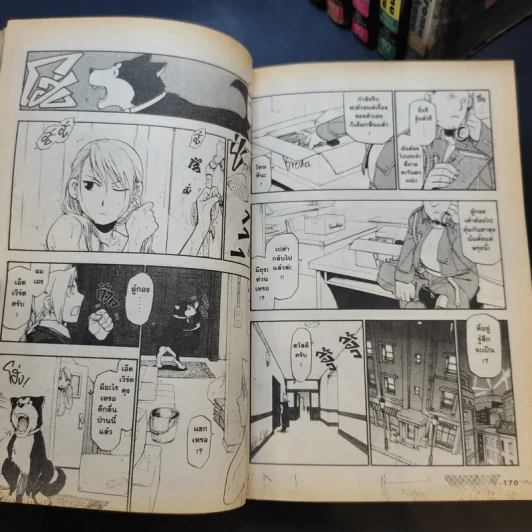 แขนกลคนแปรธาตุ เล่ม 1-14 รูปที่ 11