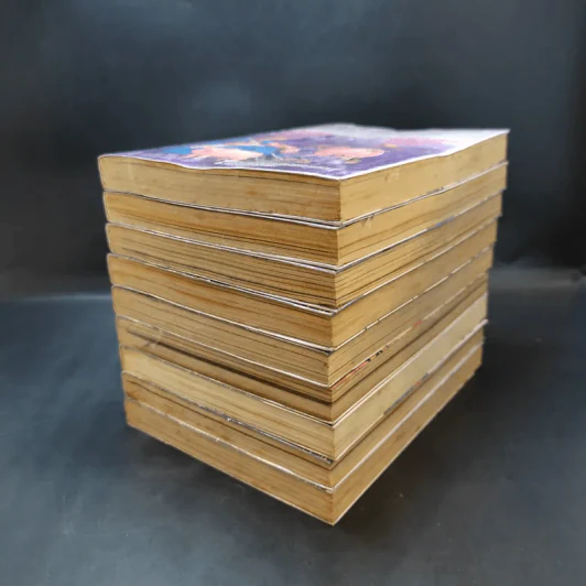 ริคุจอมคนคุกนรก เล่ม 1-9 รูปที่ 5