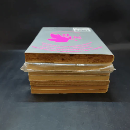 Evangelion เอวานเกเลียน เล่ม 1,3-8 รูปที่ 5