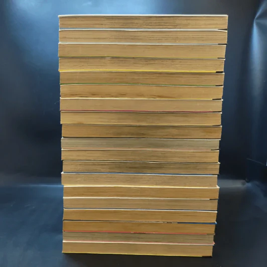 โอซาว่าฮายกครัว เล่ม 1,3-5,7-11,13,14,16-19,21-24 รูปที่ 5