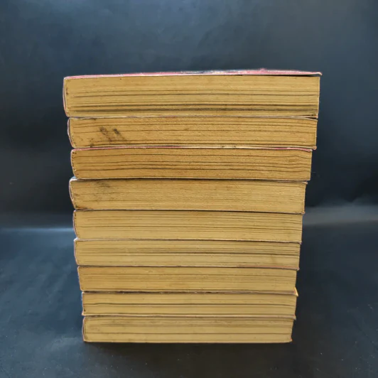 Red Eyes แค้นมัจจุราช เล่ม 1-9 รูปที่ 3