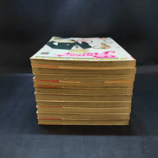 Flower ดอกไม้ในหัวใจ 10 เล่มจบ รูปที่ 5