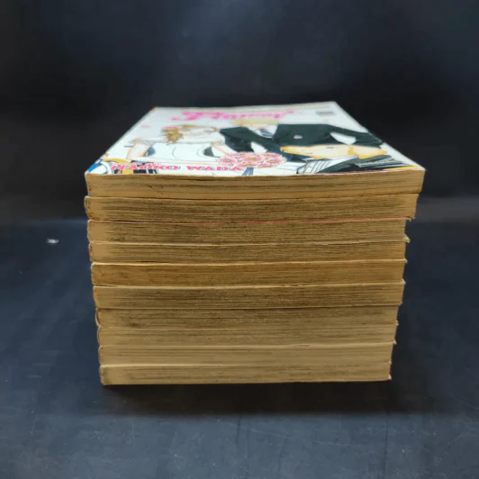 Flower ดอกไม้ในหัวใจ 10 เล่มจบ รูปที่ 3
