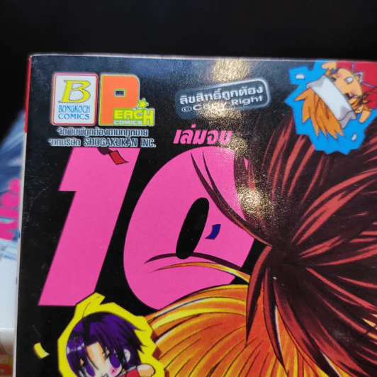 มิโดริจังกับเจ้าชายทั้งสิบเอ็ด 10 เล่มจบ รูปที่ 7