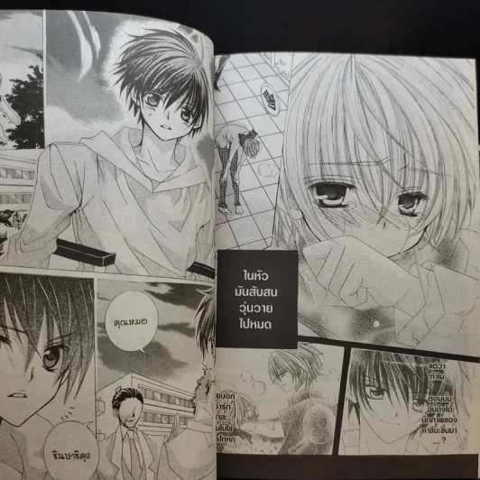 มิโดริจังกับเจ้าชายทั้งสิบเอ็ด 10 เล่มจบ รูปที่ 10
