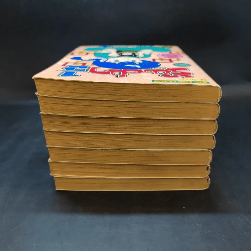 รันม่า 1/2 ไอ้หนุ่มกังฟู เล่ม 1-4,6-8 รูปที่ 5