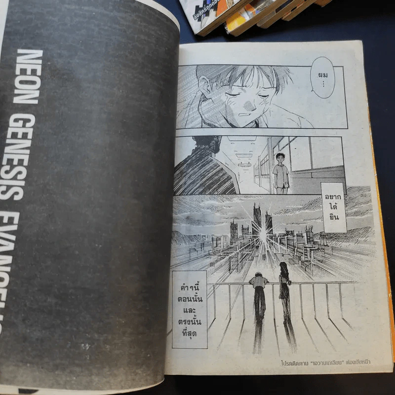 Evangelion เอวานเกเลียน เล่ม 1-9,11 รูปที่ 13