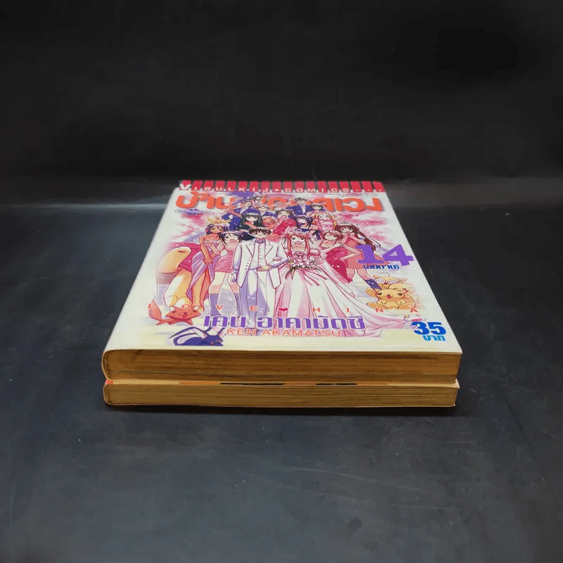 บ้านพักอลเวง เล่ม 6,14 รูปที่ 4
