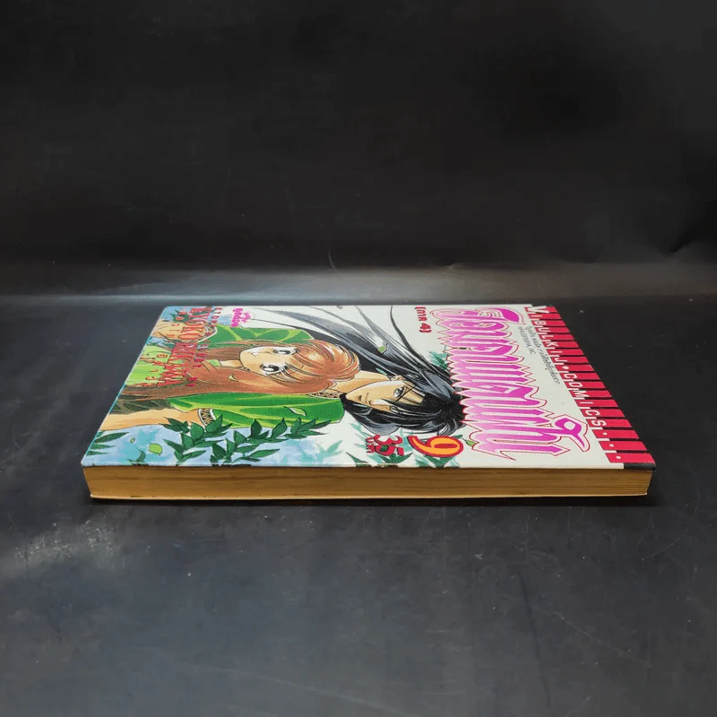 จอมคนแดนฝัน ภาค 4 เล่ม 9 รูปที่ 5