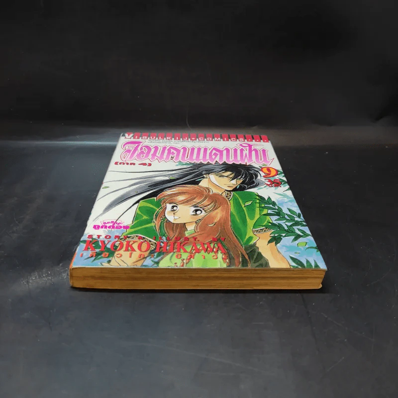 จอมคนแดนฝัน ภาค 4 เล่ม 9 รูปที่ 4
