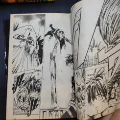 BLACK CAT 20 เล่มจบ รูปที่ 12