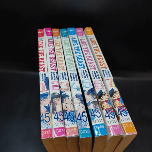 การ์ตูนวาย Like The Beast เล่ม 1-7 รูปที่ 12