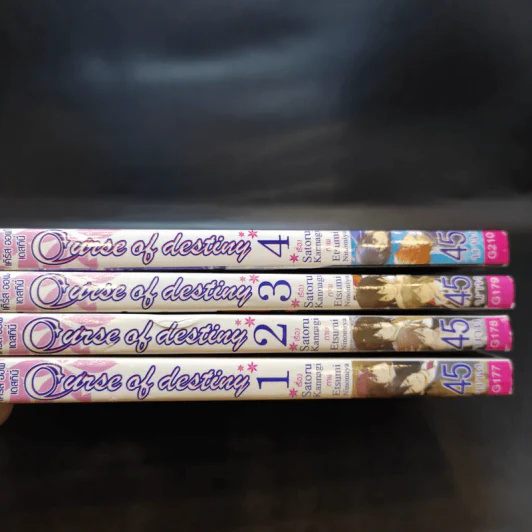 Curse of Destiny เล่ม 1-4 รูปที่ 11