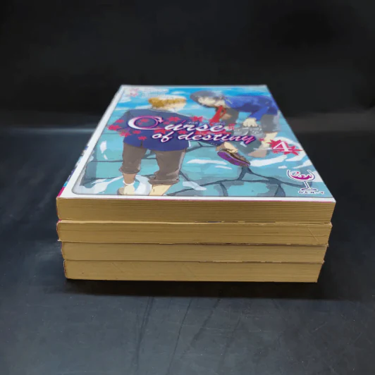 Curse of Destiny เล่ม 1-4 รูปที่ 3