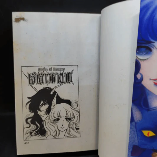 เจ้าสาวซาตาน เล่ม 2 รูปที่ 11