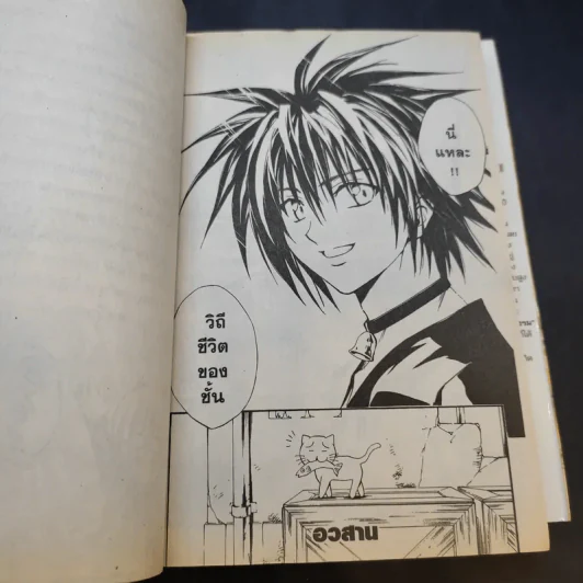 BLACK CAT 20 เล่มจบ รูปที่ 13