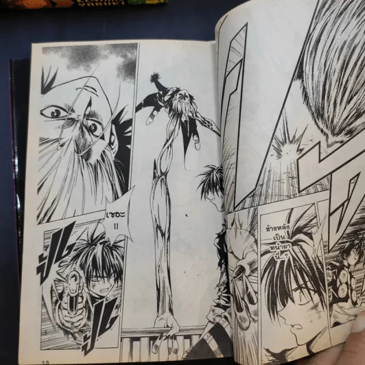 BLACK CAT 20 เล่มจบ รูปที่ 12