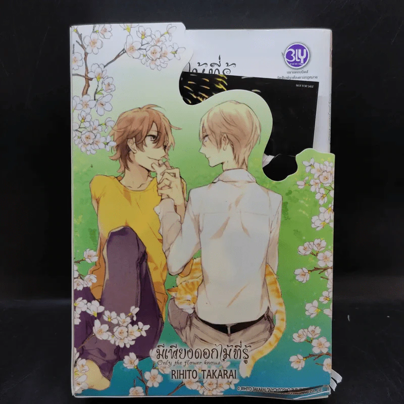การ์ตูนวาย มีเพียงดอกไม้ที่รู้ 3 เล่มจบ + โปสการ์ด Boxset รูปที่ 1