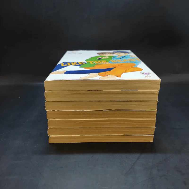 การ์ตูนวาย Like The Beast เล่ม 1-7 รูปที่ 3