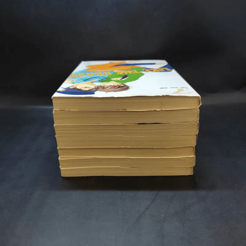 การ์ตูนวาย Like The Beast เล่ม 1-7 รูปที่ 5