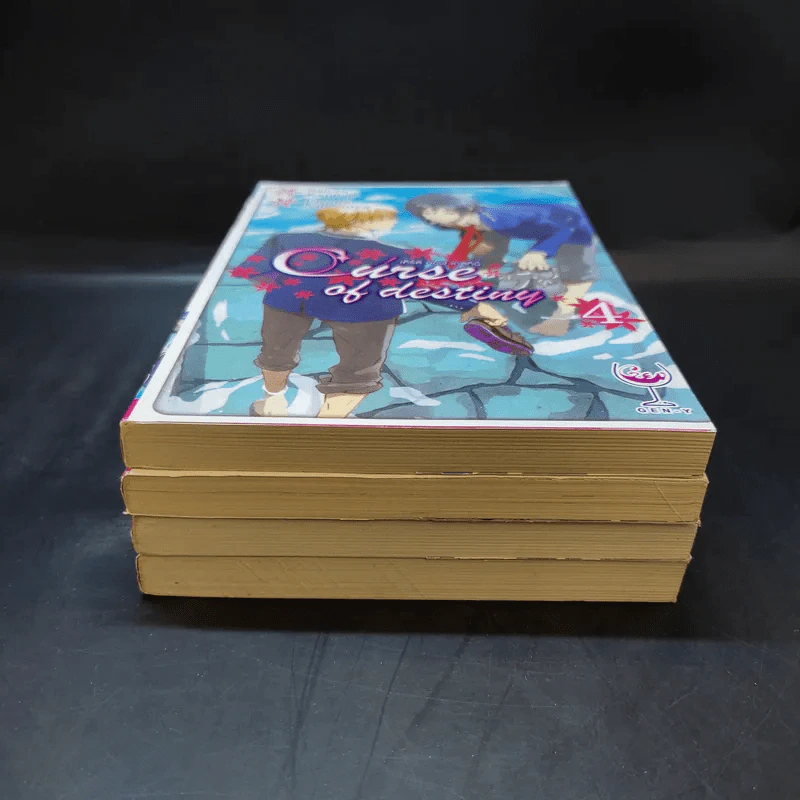 Curse of Destiny เล่ม 1-4 รูปที่ 3