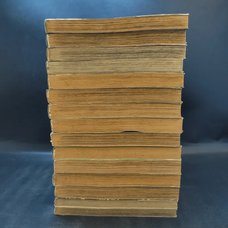 หมัดดาวเหนือ 2 เล่ม 3,4,6,7,9-14,16,18,19,20,22 รูปที่ 3