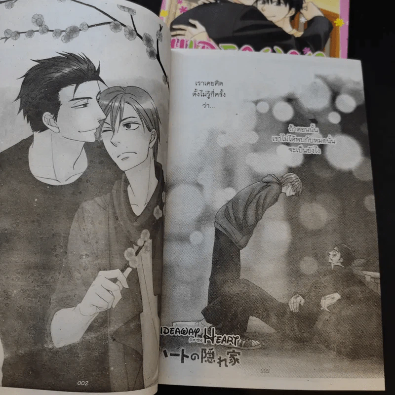 การ์ตูนวาย Hideaway for the Heart 2 เล่มจบ รูปที่ 9