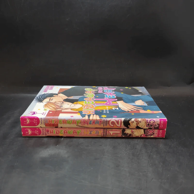 การ์ตูนวาย Hideaway for the Heart 2 เล่มจบ รูปที่ 3