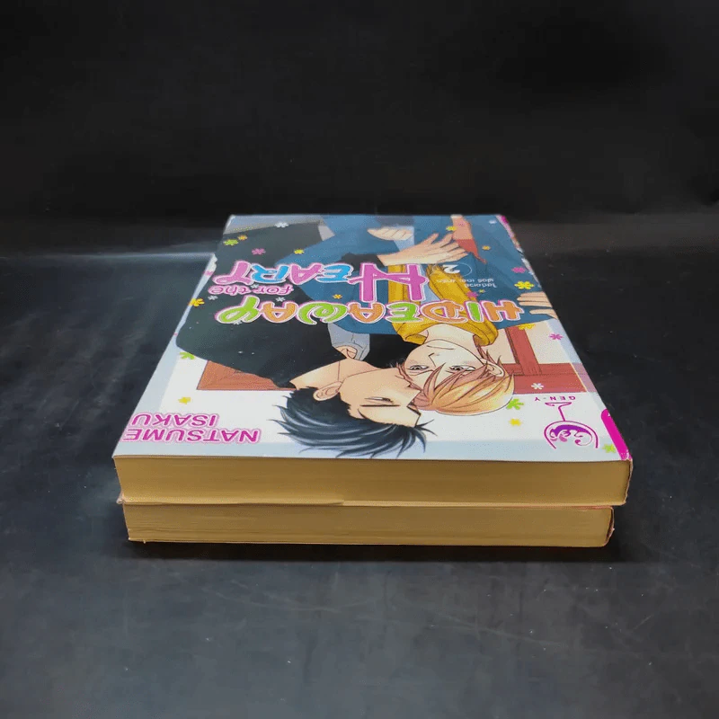 การ์ตูนวาย Hideaway for the Heart 2 เล่มจบ รูปที่ 6