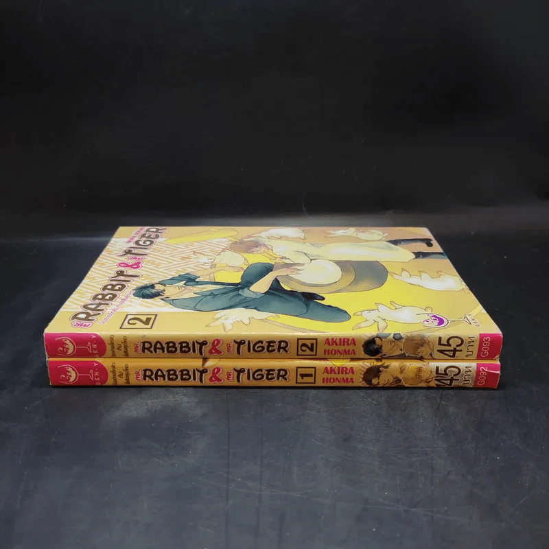 การ์ตูนวาย Mr.Rabbit & Mr.Tiger เล่ม 1-2 รูปที่ 3