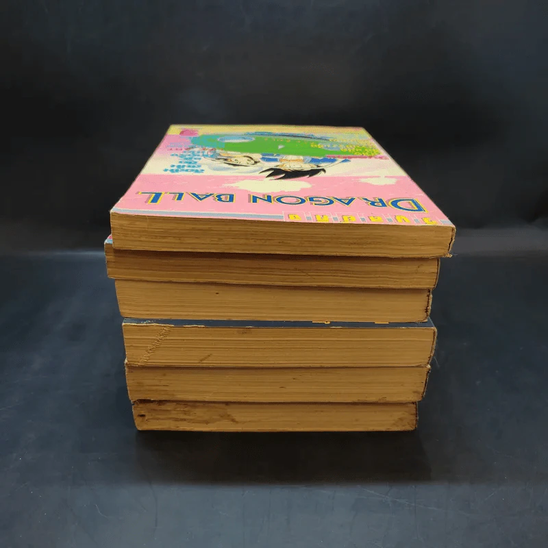 Dragon Ball ดราก้อนบอล เล่ม 4-9 (ฉบับพิมพ์เก่า วิบูลย์กิจ) รูปที่ 5