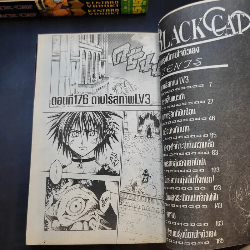 BLACK CAT 20 เล่มจบ รูปที่ 9