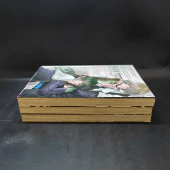 เจ้าชายมิติมายา เล่ม 1-3 รูปที่ 4