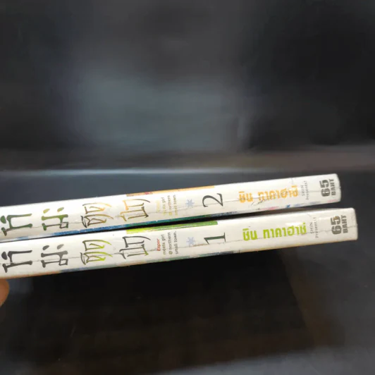 หิมะติดปีก เล่ม 1-2 รูปที่ 7