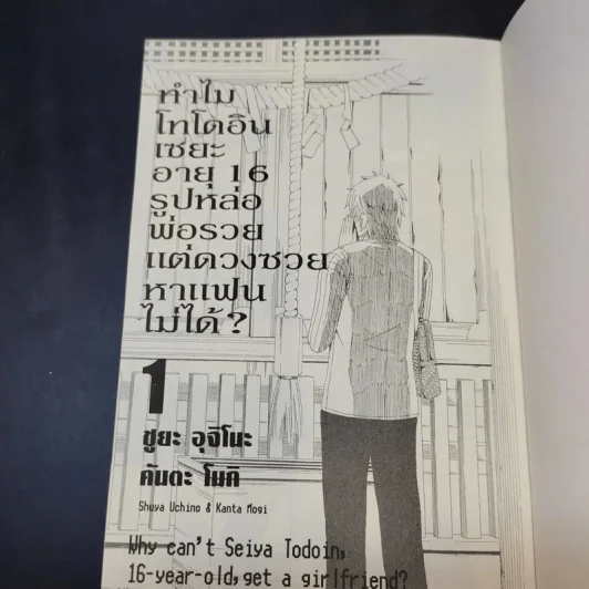 ทำไมโทโดอินเซยะ อายุ 16 รูปหล่อ พ่อรวย แต่ดวงซวยหาแฟนไม่ได้ เล่ม 1 รูปที่ 8