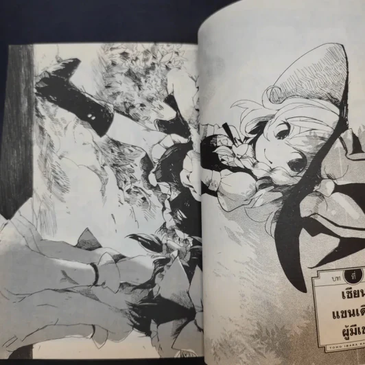 โทโฮ ภาค เซียนสาวจอมป่วน Wild And Horned Hermit เล่ม 1 รูปที่ 9