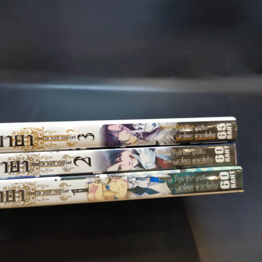 เจ้าชายมิติมายา เล่ม 1-3 รูปที่ 13